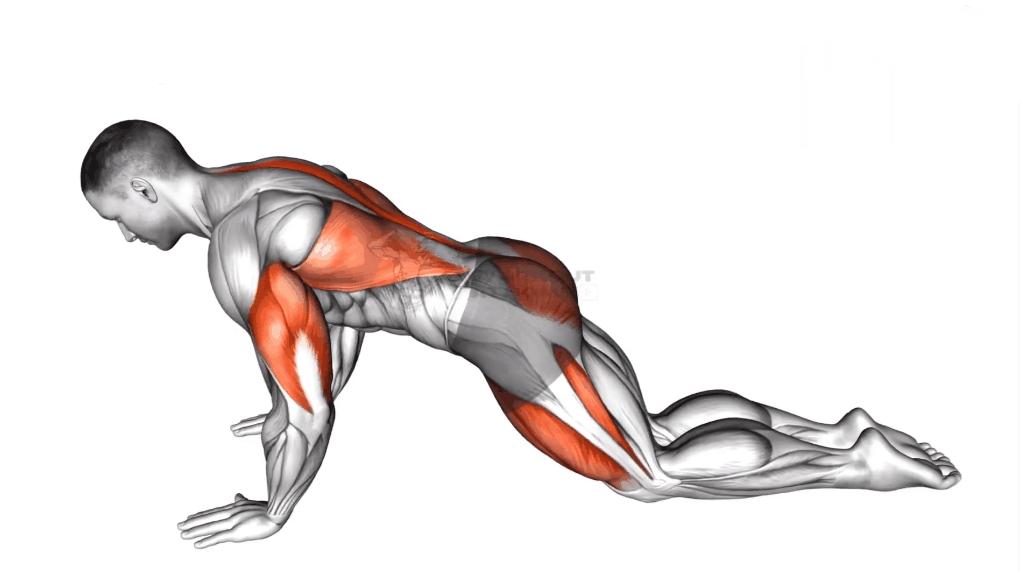 居家健身无器械加拉伸,塑形健身教程步骤图解图片卡通版