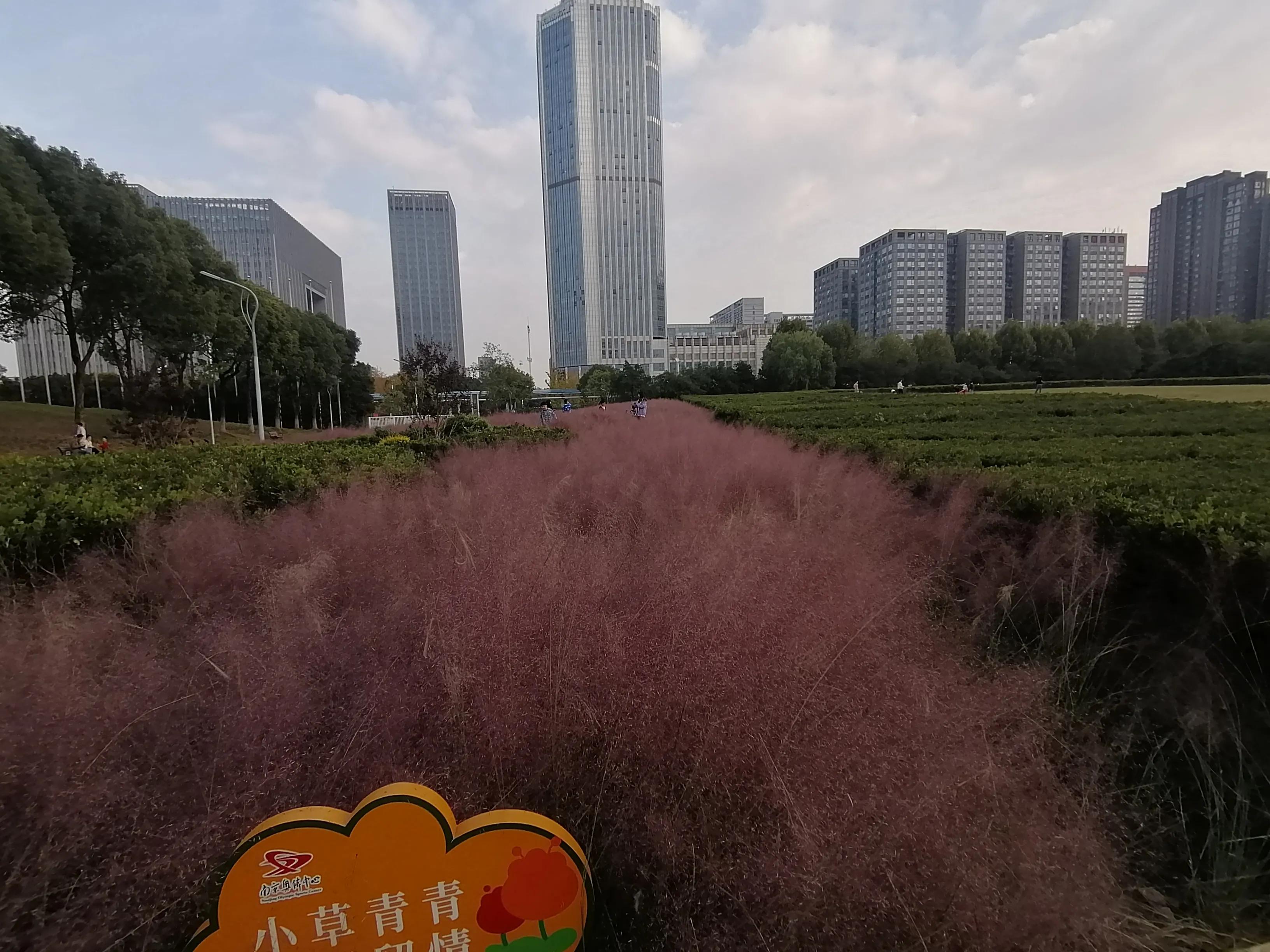 欢乐的海洋歌曲原唱,这里将成为欢乐的海洋