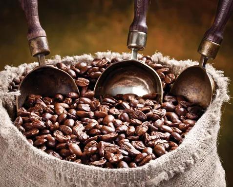 一分钟了解里约,一分钟了解波尔多