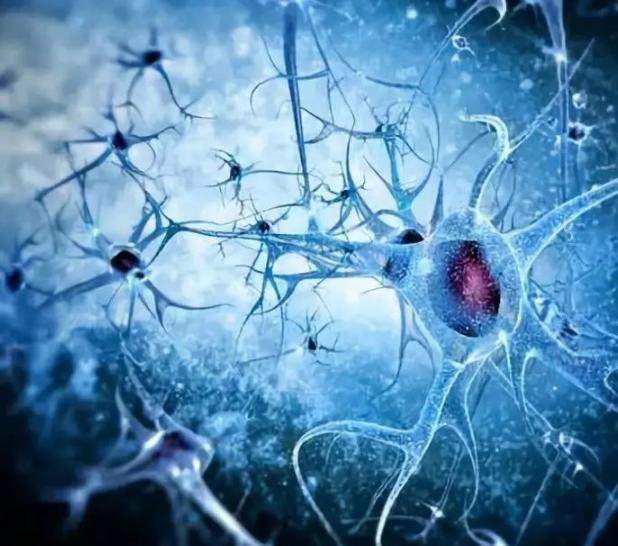 一天只吃一顿饭怎么提高代谢,每天一顿饭会降低代谢吗