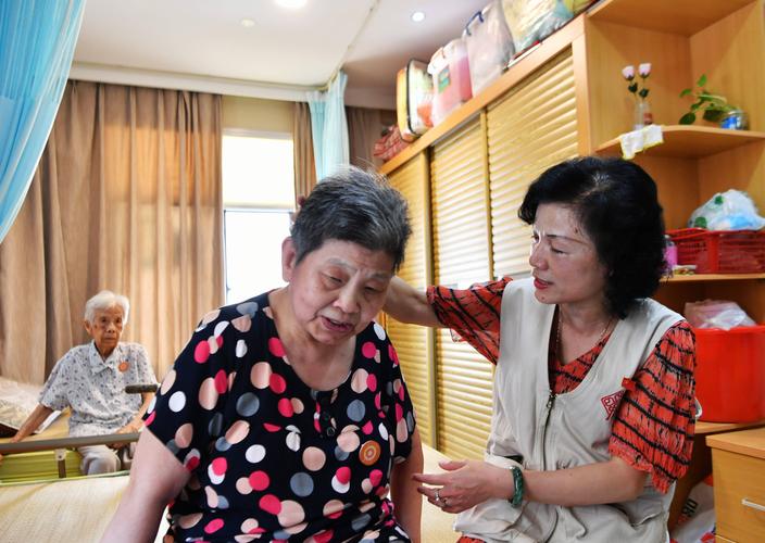 政府购买居家养老服务的政策执行,居家养老服务存在的问题及建议