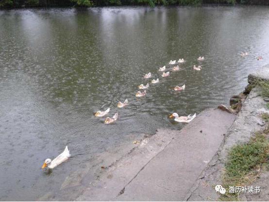 寻迹古徽州,寻迹徽商故里研学徽州文化