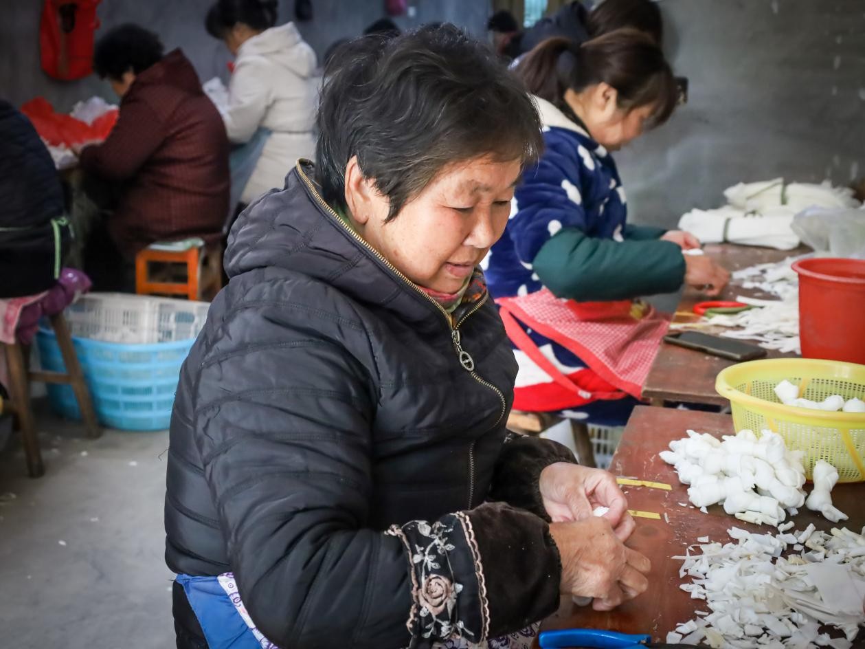 平阳县数字云产业孵化园共富工坊,浙江温州平阳共同富裕农村