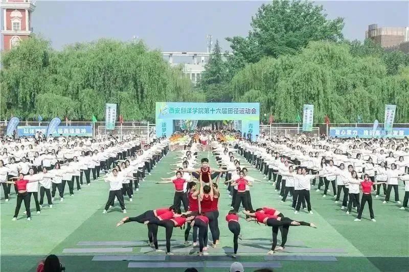 西译盛会最新进展,西译第15届运动会开幕式