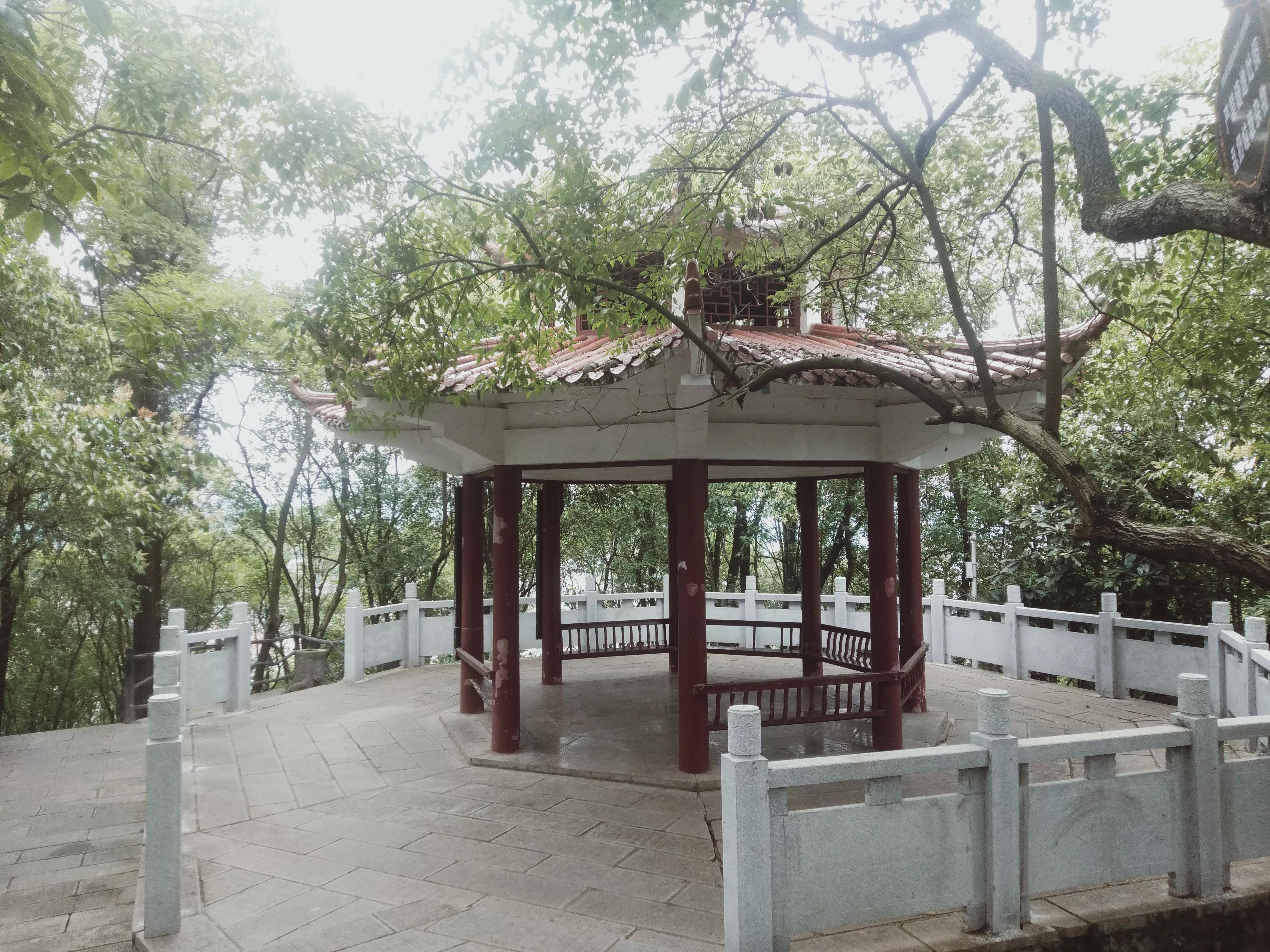 妗戞鏂硅█澶у叏,妗戞鏂硅█鐮旂┒