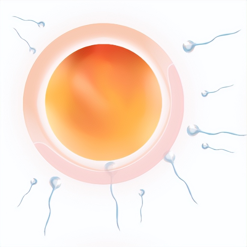 试管反复失败的原因有哪些,试管反复失败与基因有关系吗