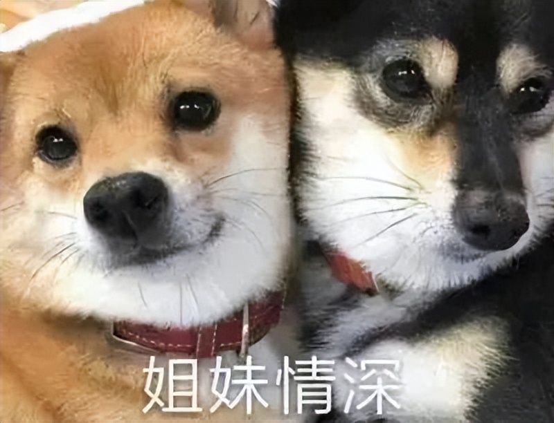 前男友面膜需要洗掉吗,用完skii面膜需不需要洗掉