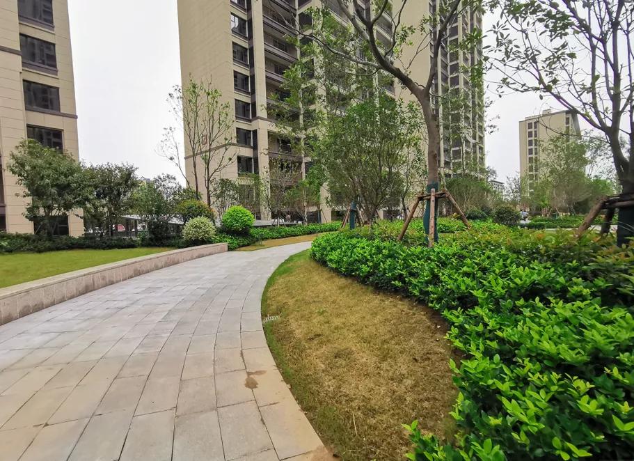 华润、乐富强、海亮……阜阳6大小区一致好评