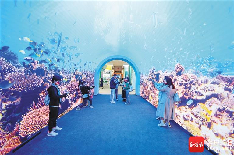 树立海南自贸港形象,海南自贸港新发展理念案例