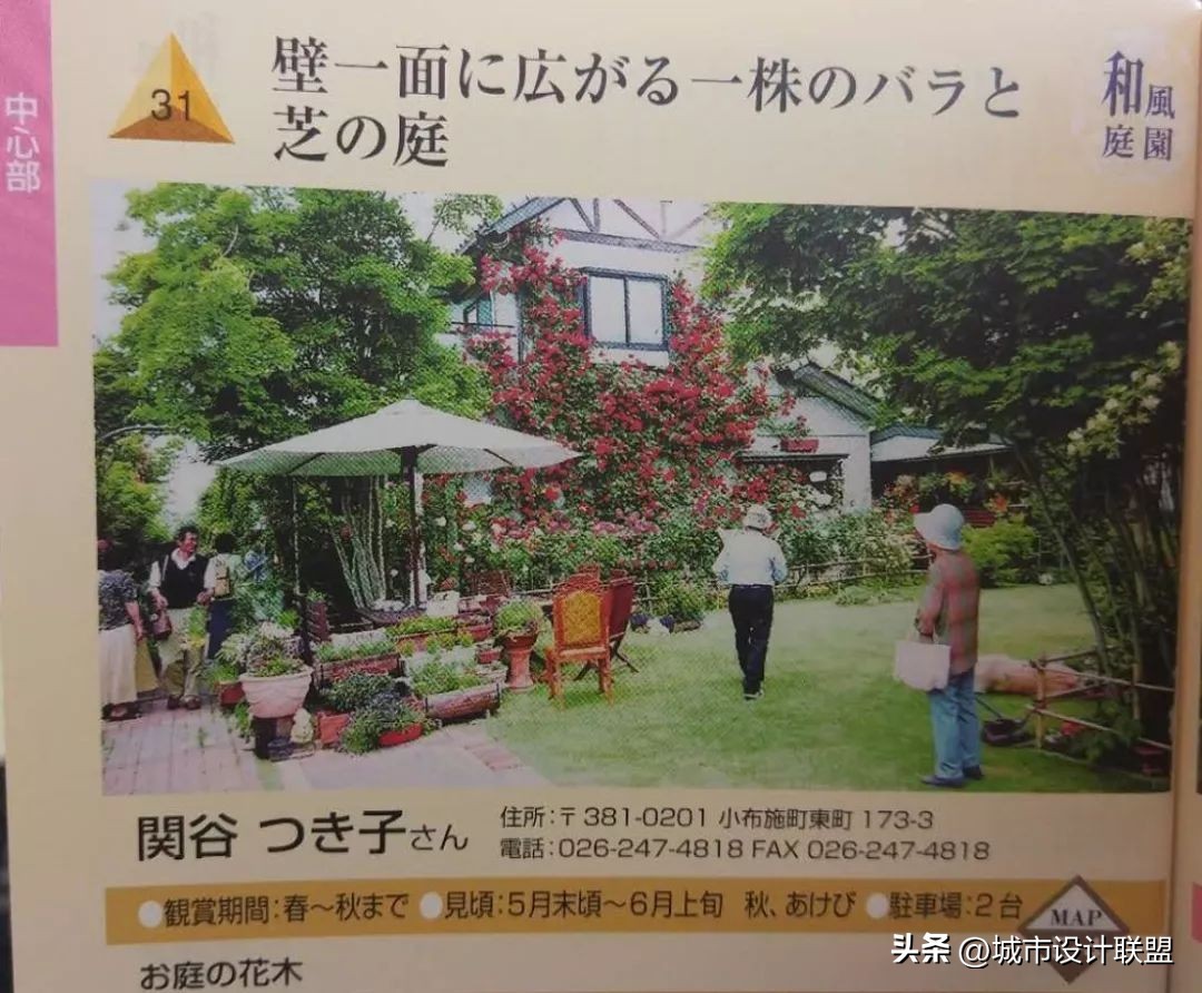 乡村振兴和乡村治理典型经验,乡村治理的发展与创新