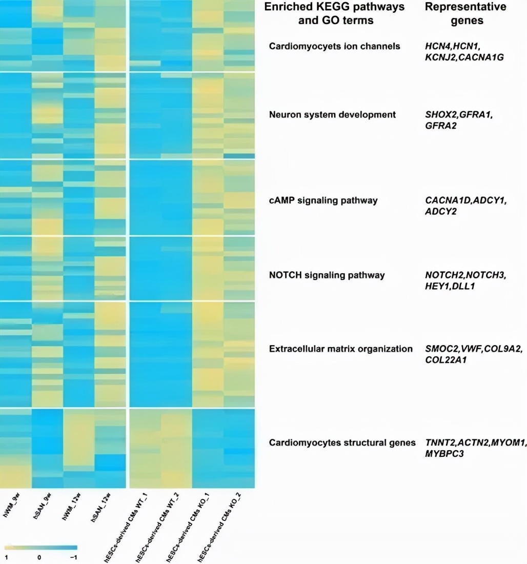 复旦上医11月科研成果一览,复旦大学科研成果分析