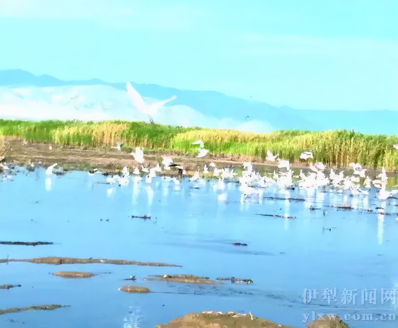 火了！新源又火了！全国瞩目，未来发展不可估量！为你的家乡比心