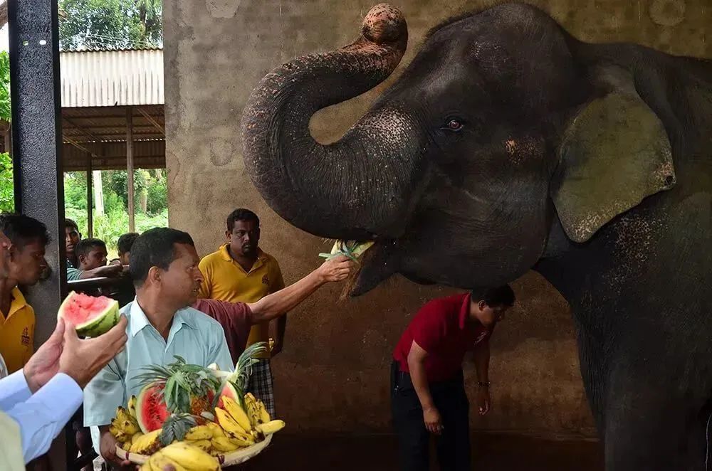 五一3-5天短途旅游推荐报团,五一3-5天短途旅游推荐一个人