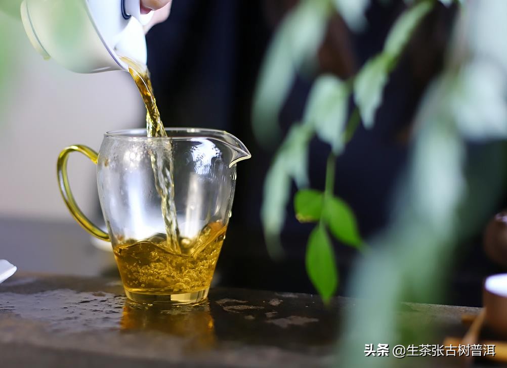 普洱藤条茶与古树茶哪个好饮,什么是藤条茶最好
