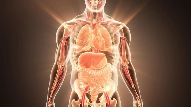 起心动念和心猿意马,起心动念心猿意马