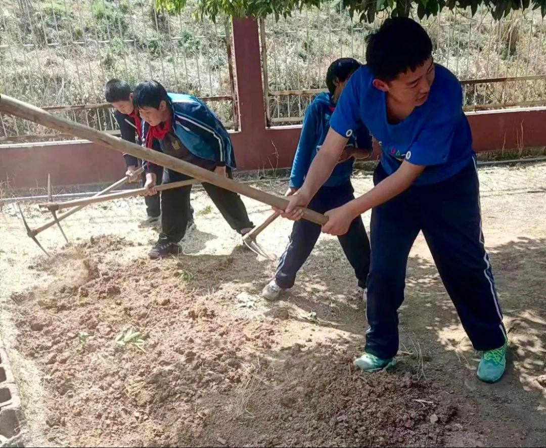绿美太邑蔬香校园