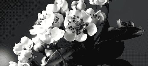 唯热爱可抵岁月漫长下一句,唯有真心与热爱可抵岁月漫长