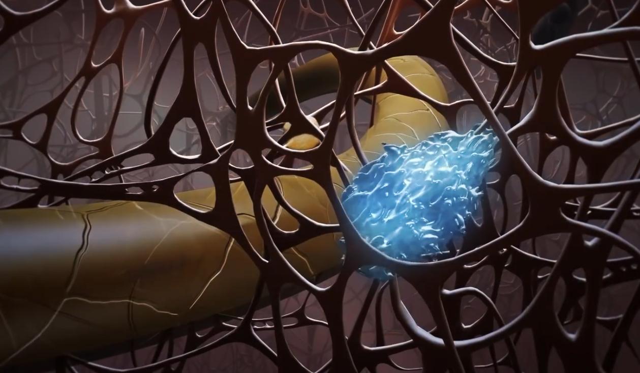 人体最大的器官是不是肝脏,人体最大的器官是指什么百科