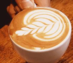 咖啡从业7年,从业10年的咖啡师