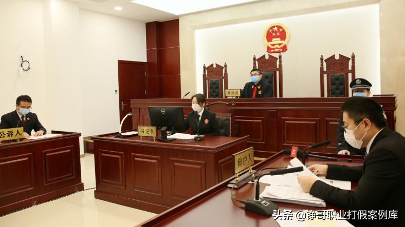 食品安全法打假成功案例,推动食品安全高水平治理