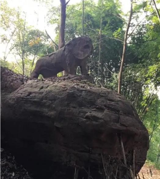 四川村民河里捡金子,村民江边捡到金锭抽干江水