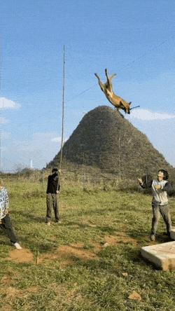 克林顿布什奥巴马合影,克林顿希拉里老照片