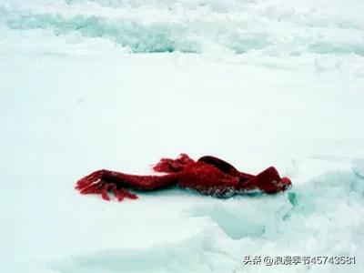 冬的尽头便是春天,冬的尽头一定是春天下一句