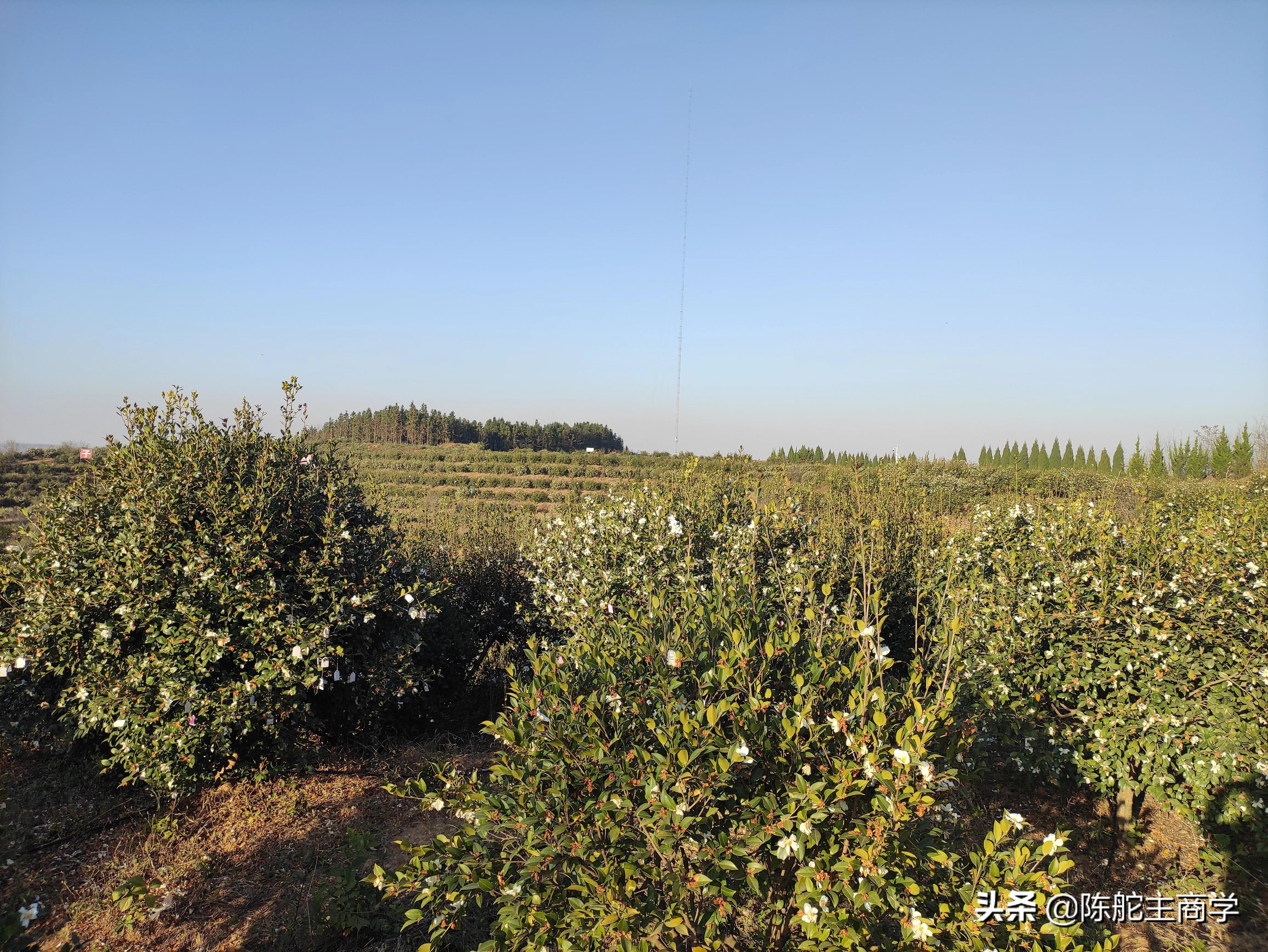 一辈子没有出息的人有这6种毛病,没出息的人怎么变好