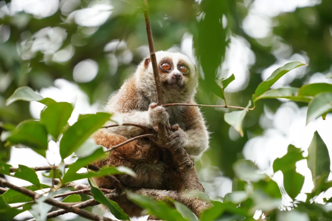 昆明七彩云南怎么样,七彩云南避暑家园