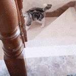 一来月经就痛经是什么原因,经期咯血