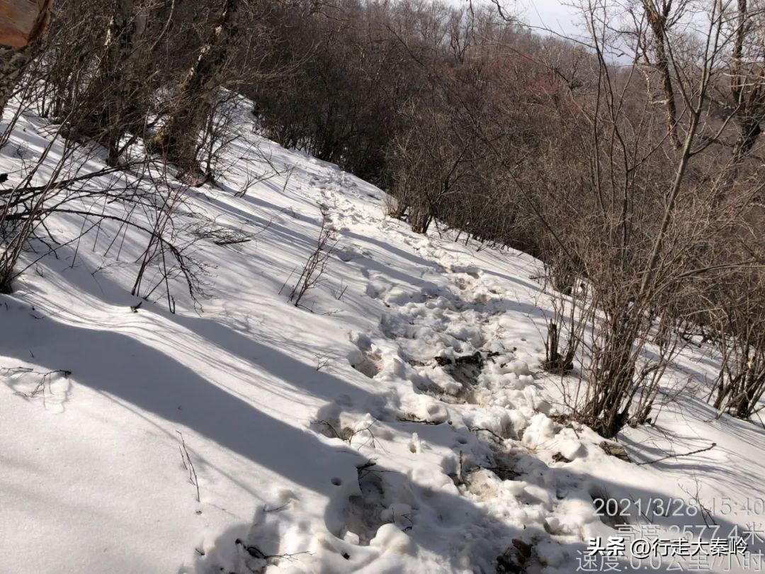 首阳山穿越大坪梁景色怎么样,大坪梁穿越到首阳山攻略