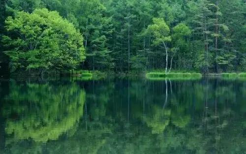 2022年壬寅年虎年日历表,2022年壬寅年开始走甲戌大运