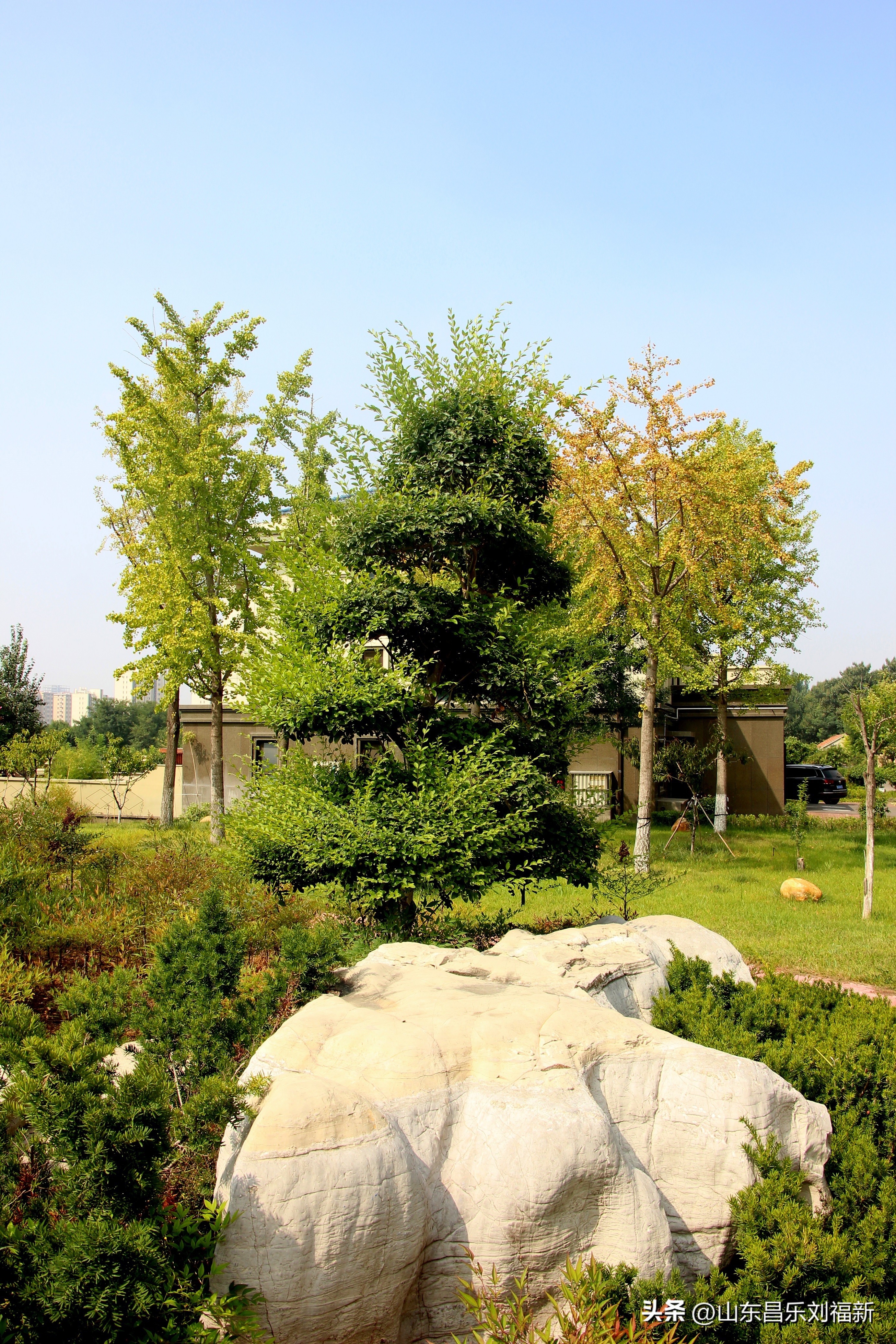 碧水龙庭深圳7栋4单元,顺光风景片拍摄