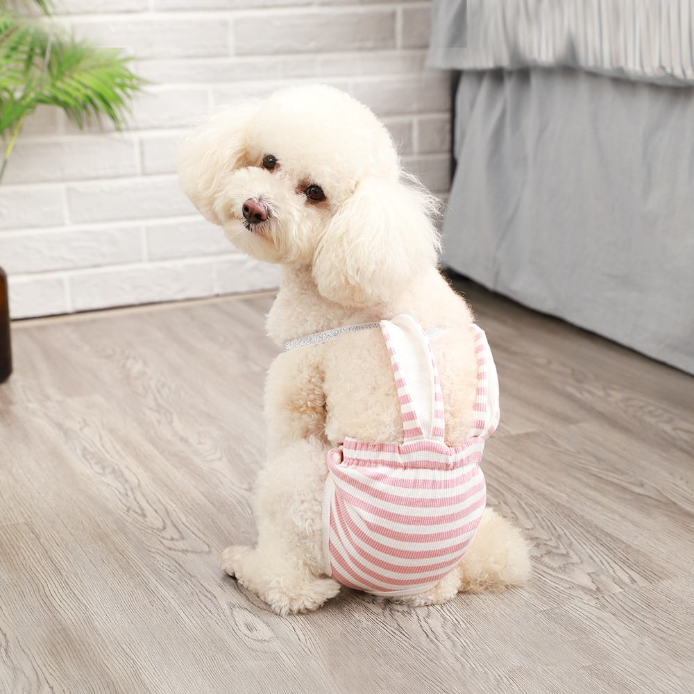 新手推荐养公狗还是养母狗,养公狗和养母狗哪个好