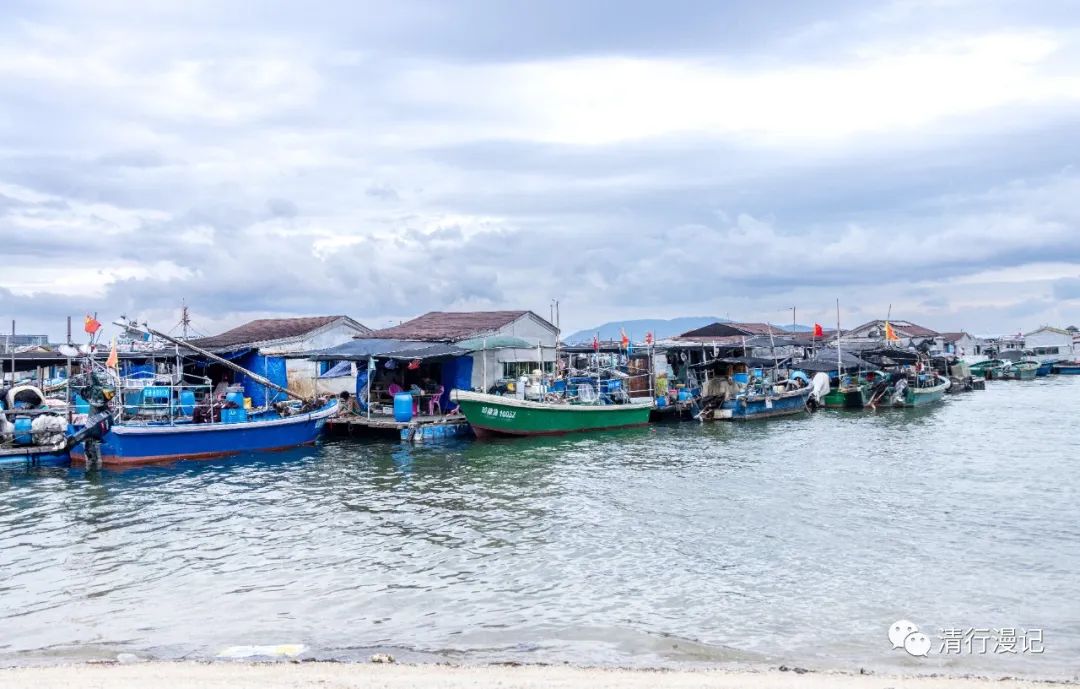 海南南湾猴岛天气预报,海南南湾猴岛