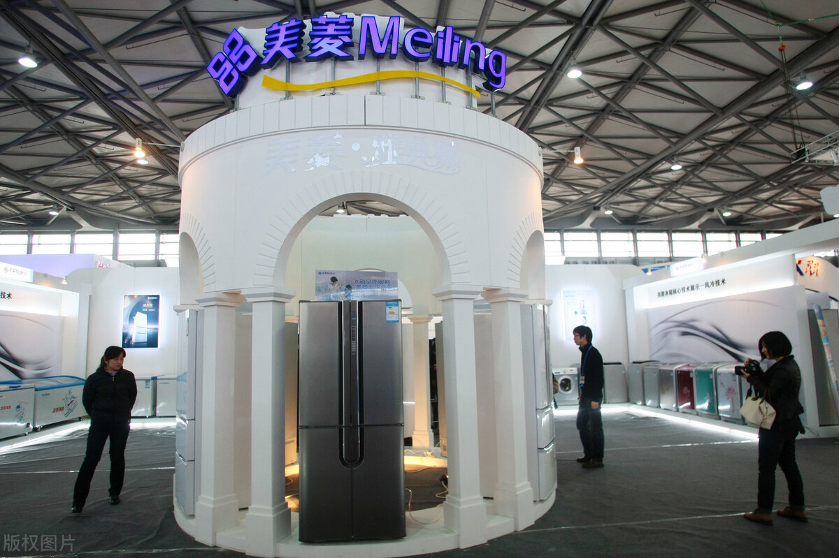 中国冰箱哪家强,中国金花全部出局