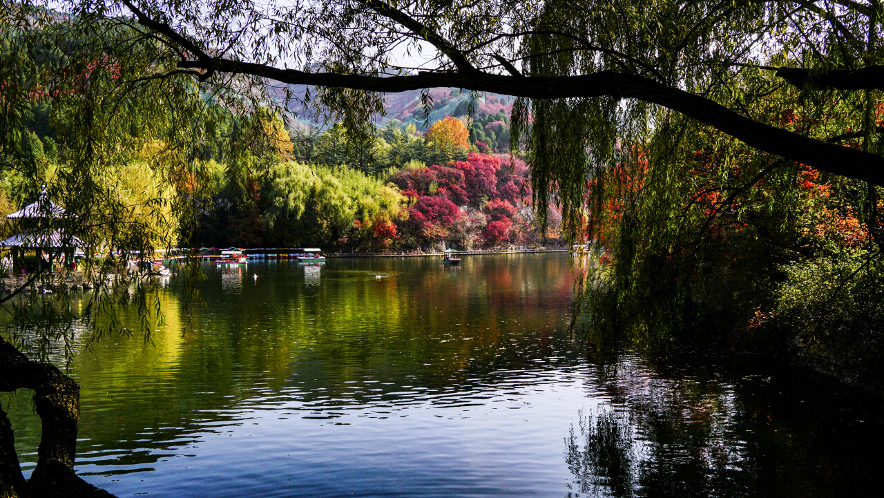 济南小众秋景好的地方,济南最近很火的打卡地秋天
