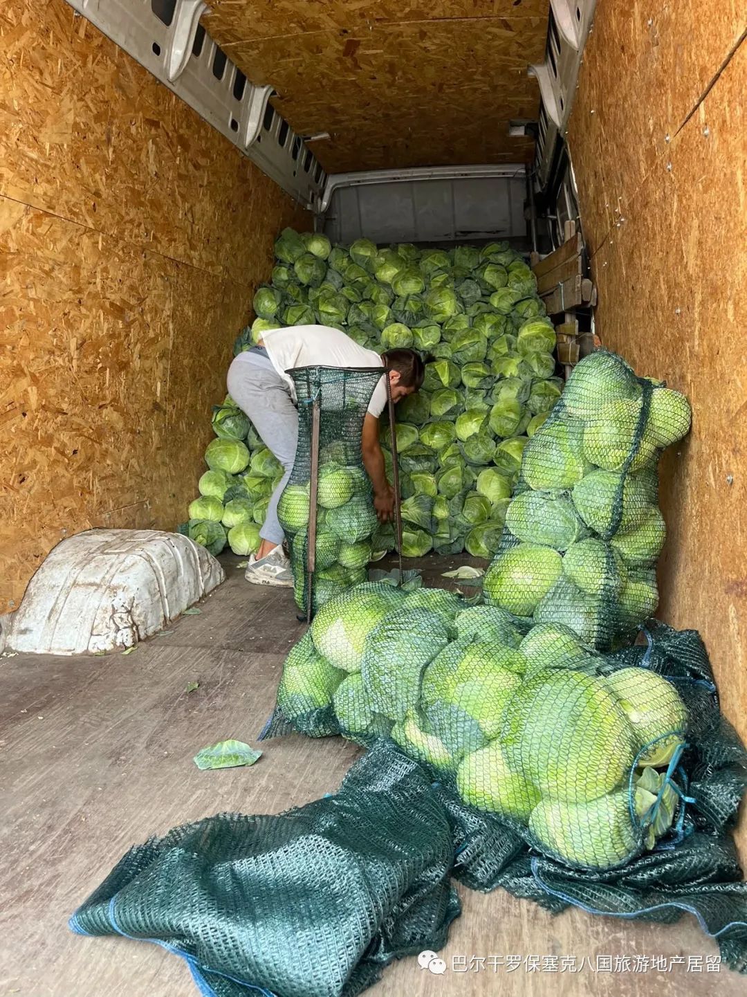 罗马尼亚蔬菜,罗马尼亚大型水果批发市场