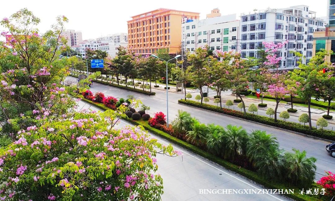 旅居海南,旅居式旅游生活海南