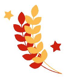 锻造雄师向复兴：铸魂——南召县城关四小六年级质量分析会