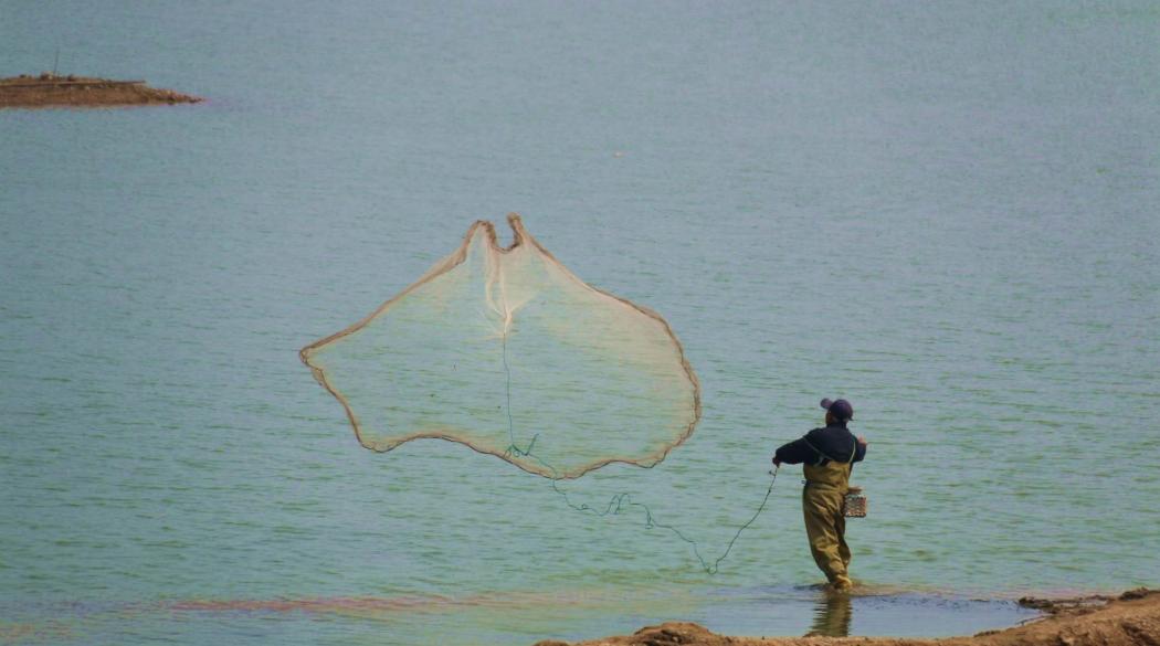 怎么撒网捕大鱼视频,三人撒网捕获大鱼