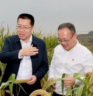 2022税务局长寄语,税务局2022年新年寄语