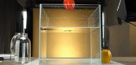 三级跳100米乒乓球,最弹跳的乒乓球