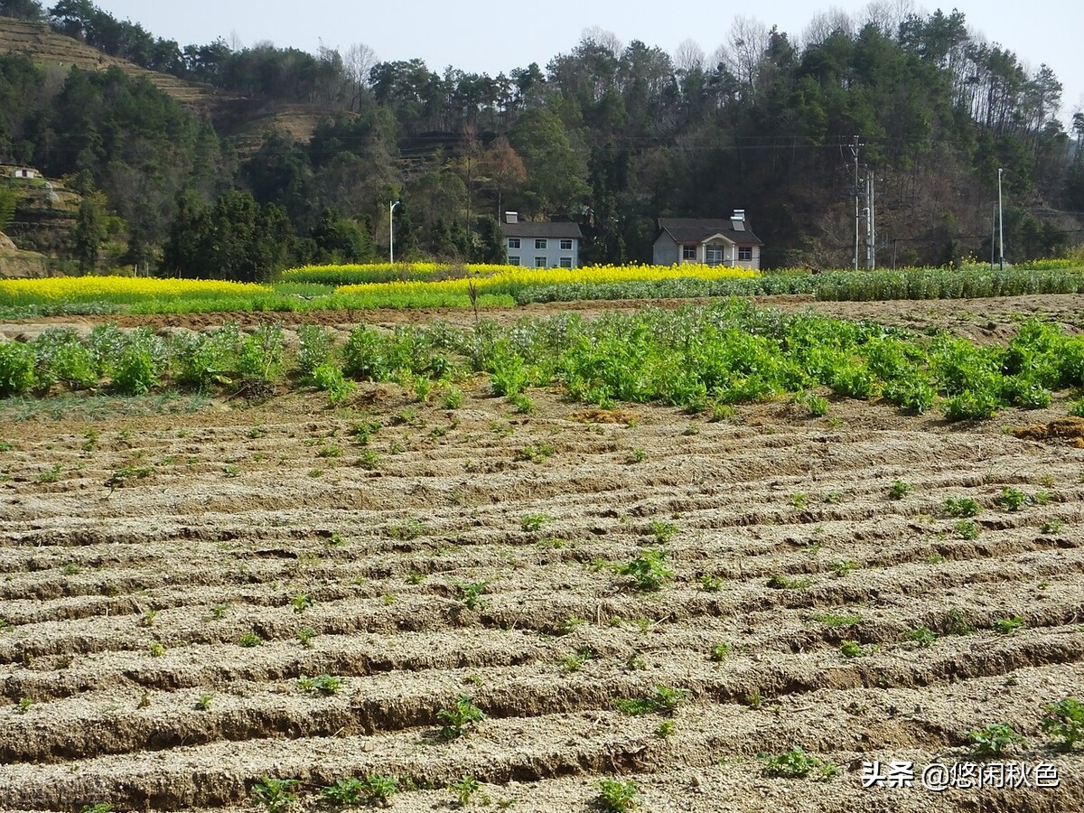 逃离的婚礼,逃离的婚姻小说
