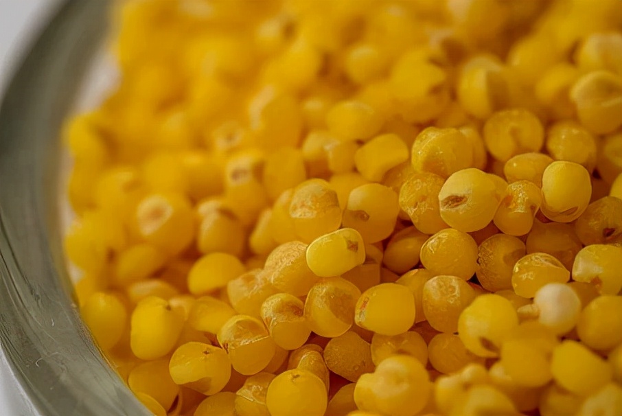 药食同源祛湿食材,健脾效果好的药食同源食材