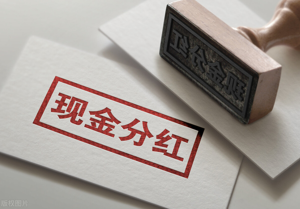 每日分红模式,分红模式成功案例