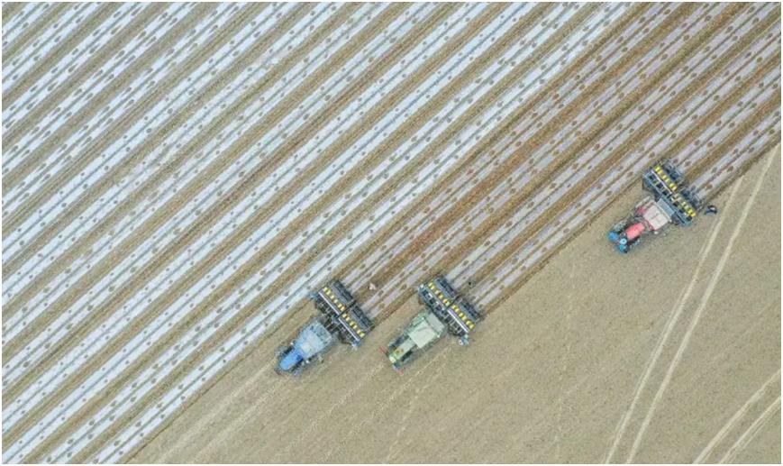 *疆新**“宽早优”模式的四大优势概述