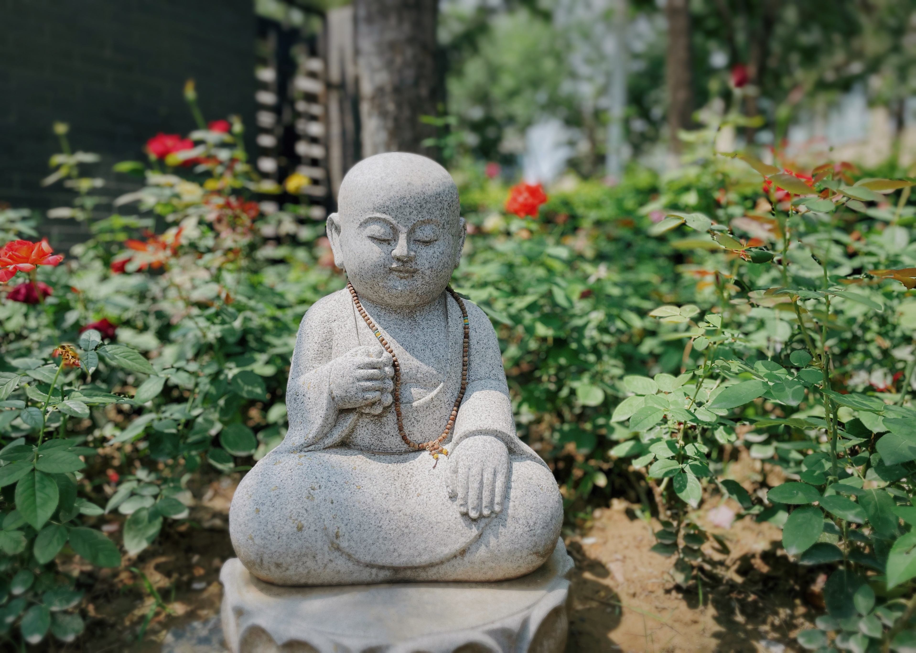 遇到法师打野怎么解决,法师怎么解决个人问题