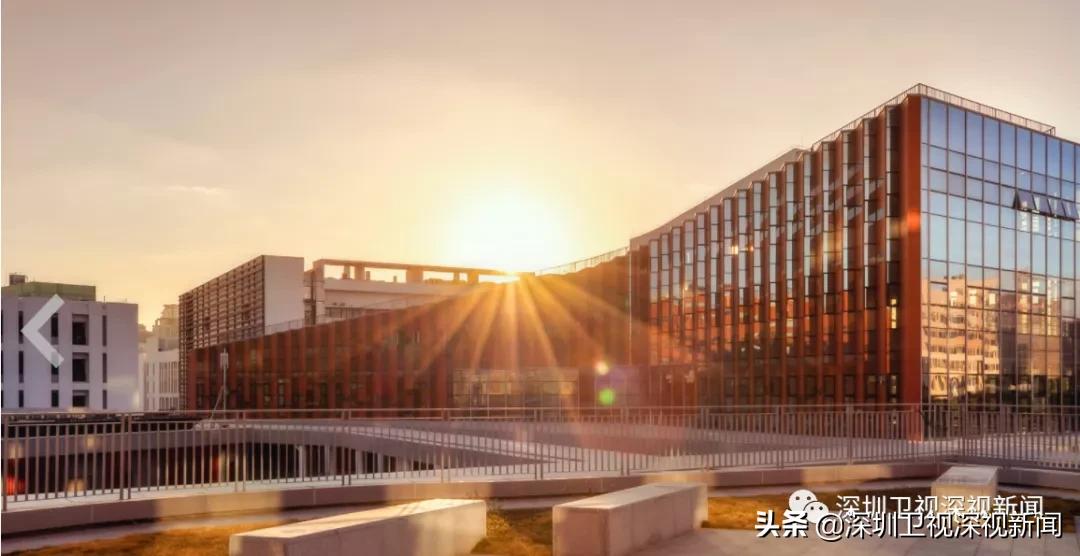 薛其坤5年内把南科大办成双一流,南科大与深圳大学谁先进入双一流