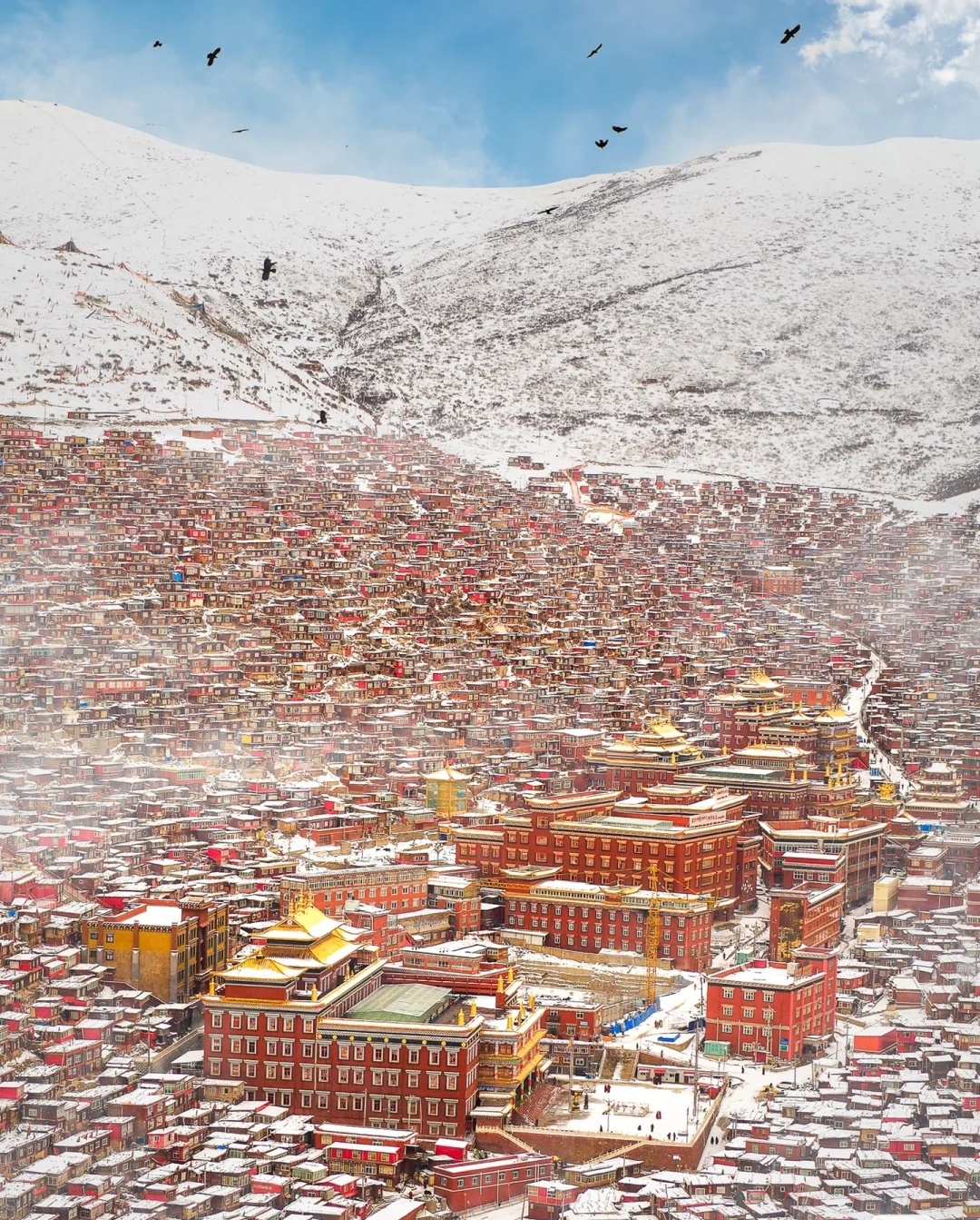 泰国穷游要多少钱,去泰国穷游多少钱